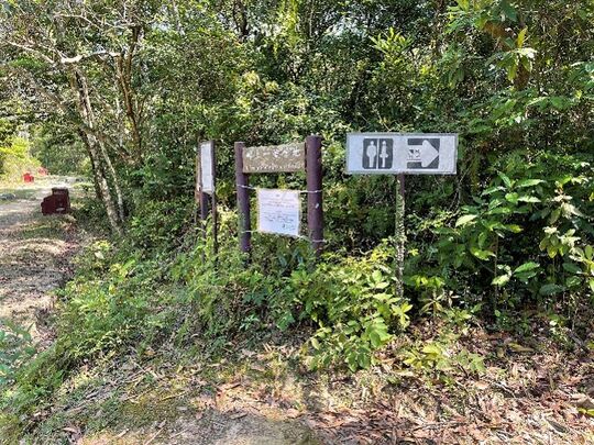 嶂上一號營地