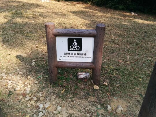 Tai Lam Forest Track (Twisk Section)