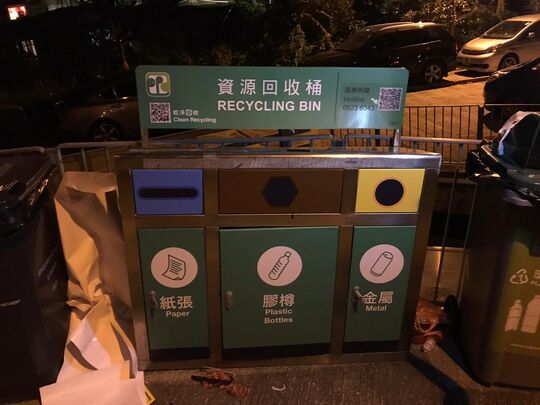 西貢井欄樹心朗近電燈柱V 7851