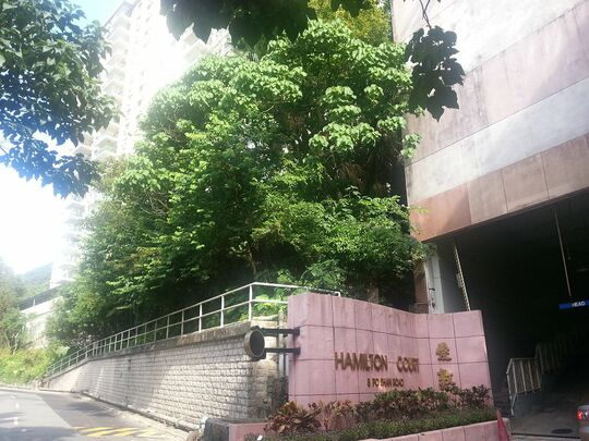爱敦大厦
