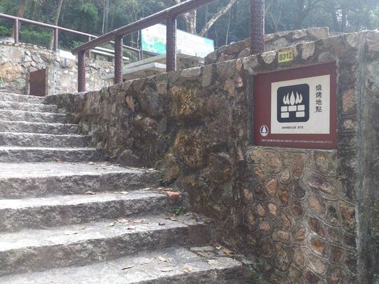 粉嶺鶴藪流水嚮水塘 八仙嶺燒烤地點B312