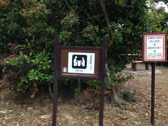 金山路郊游场 金山郊游地点 - KS/P/06