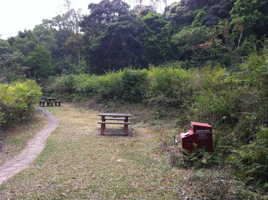 城門水塘 城門郊遊地點4