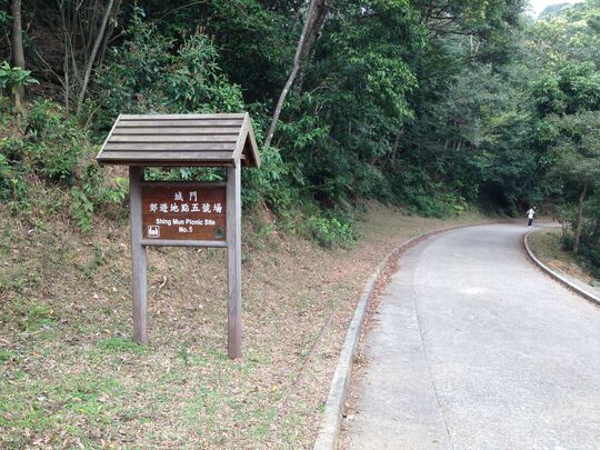 城門水塘 城門郊遊地點5
