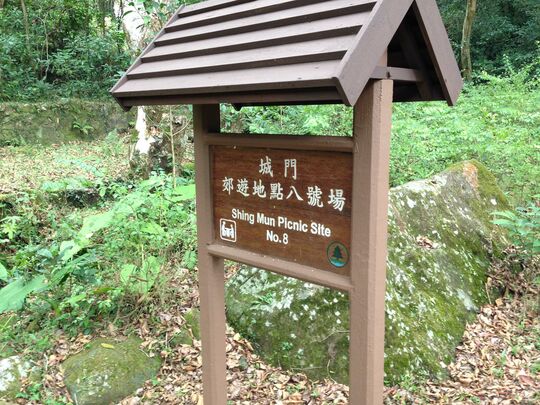 城門林道 城門郊遊地點8