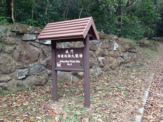 城門林道 城門郊遊地點9
