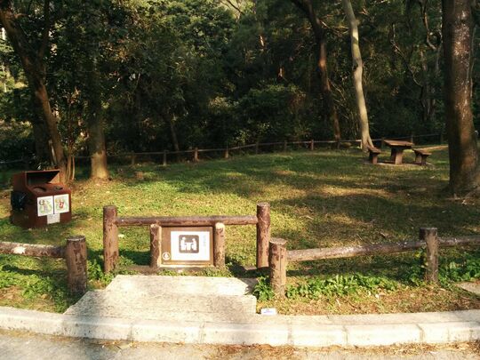 大榄林道田夫仔段 大榄郊游地点, TL/P/401