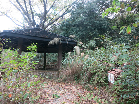 新娘潭路 八仙嶺郊遊地點 - PSLP1