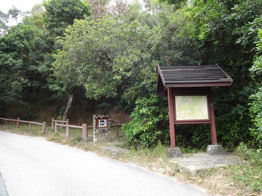九龍扎山道 扎山道郊遊地點2號場