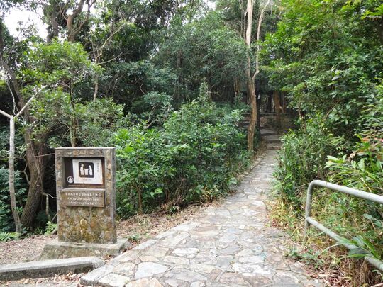 薄扶林水塘道 薄扶林郊野公园郊游区1号场