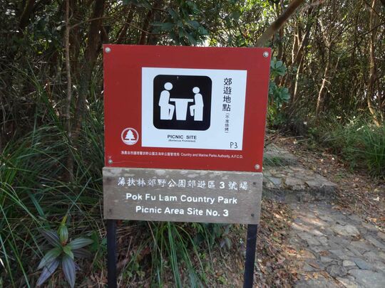薄扶林水塘道 薄扶林郊野公园郊游区3号场