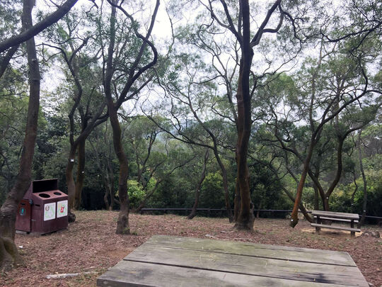 大欖林道深井段 郊遊地點6