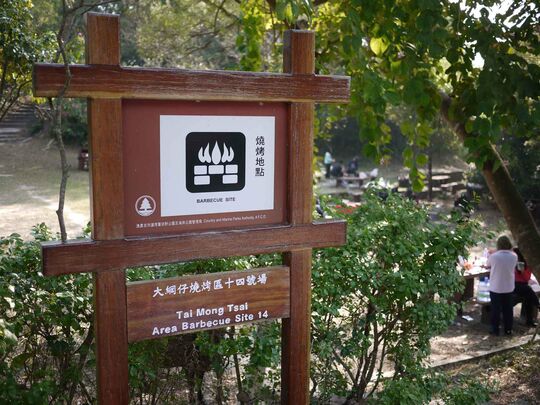 大网仔路 SKW/B/106 大网仔烧烤区14号场